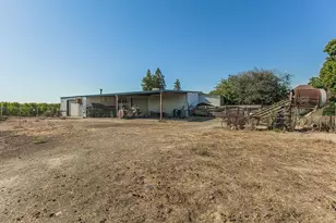 41179 Rd 52, Reedley, CA 93654 - Photo 57