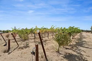 8779 Ospital Rd, Valley Springs, CA 95252 - Photo 71