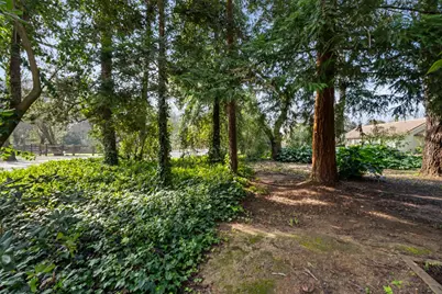 43120 Montgomery Avenue, Davis, CA 95618 - Photo 69