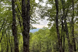 14437 Lightning Tree Rd, Nevada City, CA 95959 - Photo 1