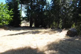 10006 Wendell Rd, Mountain Ranch, CA 95246 - Photo 13