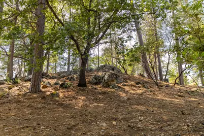 1621 The Point Road, Meadow Vista, CA 95722 - Photo 11