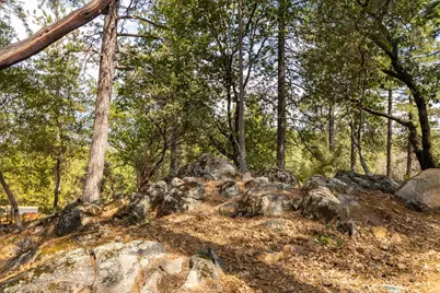 1621 The Point Road, Meadow Vista, CA 95722 - Photo 13