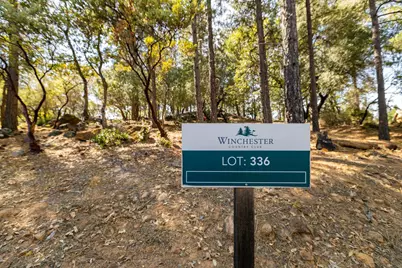 1621 The Point Road, Meadow Vista, CA 95722 - Photo 3