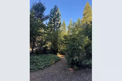 59 Kirkwood Way, Clipper Mills, CA 95930 - Photo 7