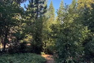 59 Kirkwood Way, Clipper Mills, CA 95930 - Photo 7