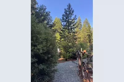 59 Kirkwood Way, Clipper Mills, CA 95930 - Photo 11