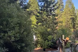 59 Kirkwood Way, Clipper Mills, CA 95930 - Photo 11