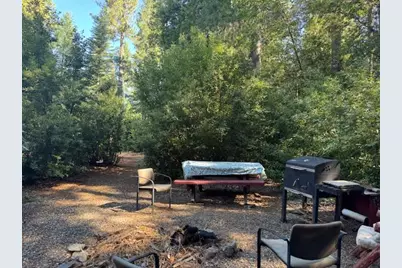 59 Kirkwood Way, Clipper Mills, CA 95930 - Photo 5