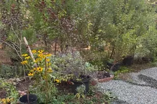 59 Kirkwood Way, Clipper Mills, CA 95930 - Photo 19