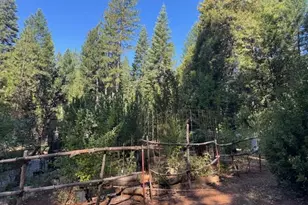 59 Kirkwood Way, Clipper Mills, CA 95930 - Photo 9