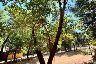 [Address not provided], Pioneer, CA 95666 - Photo 27