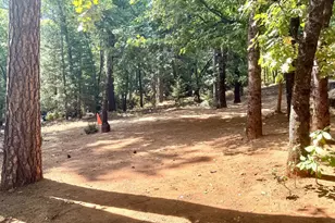 [Address not provided], Pioneer, CA 95666 - Photo 29