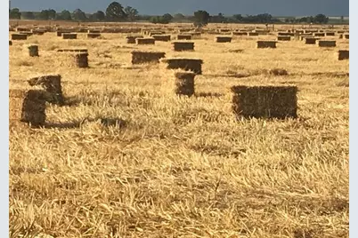 29266 Dry Creek Road, Galt, CA 95632 - Photo 27