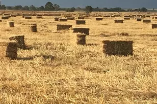 29266 Dry Creek Rd, Galt, CA 95632 - Photo 27