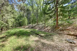 25801 Oak Forest Ct, Colfax, CA 95713 - Photo 55
