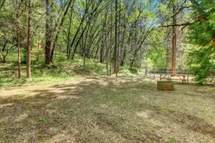 25801 Oak Forest Ct, Colfax, CA 95713 - Photo 69