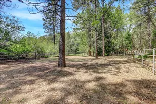 25801 Oak Forest Ct, Colfax, CA 95713 - Photo 71