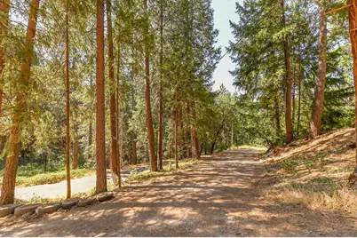 16320 Pioneer Creek Road, Pioneer, CA 95666 - Photo 57