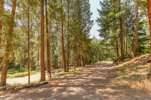 16320 Pioneer Creek Rd, Pioneer, CA 95666 - Photo 57