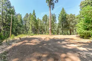 16320 Pioneer Creek Rd, Pioneer, CA 95666 - Photo 59