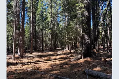 13325 Serpentine Way, Nevada City, CA 95959 - Photo 11