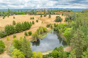 6340 Grizzly Flat Rd, Somerset, CA 95684 - Photo 93