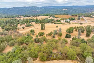 6340 Grizzly Flat Rd, Somerset, CA 95684 - Photo 91