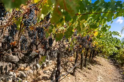 600 Landrise Court, Folsom, CA 95630 - Photo 63