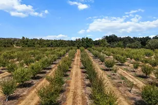 18525 Emerson, Red Bluff, CA 96080 - Photo 63