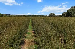 18525 Emerson, Red Bluff, CA 96080 - Photo 57