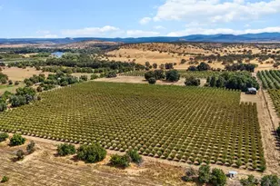 18525 Emerson, Red Bluff, CA 96080 - Photo 51