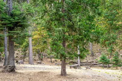 10623 Yearling Road, Nevada City, CA 95959 - Photo 41