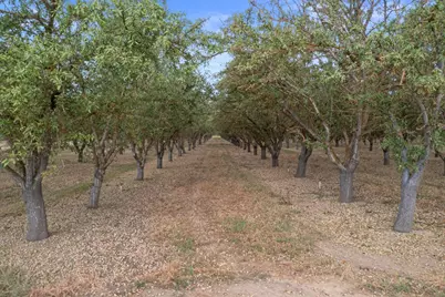 16682 S Steinegul Road, Escalon, CA 95320 - Photo 61