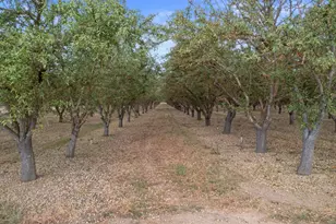 16682 S Steinegul Rd, Escalon, CA 95320 - Photo 61