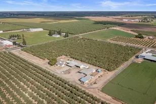 16682 S Steinegul Rd, Escalon, CA 95320 - Photo 53