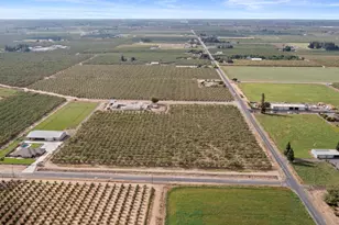 16682 S Steinegul Rd, Escalon, CA 95320 - Photo 59