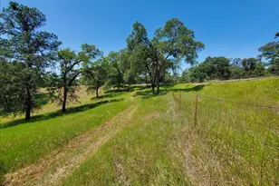 5000 Mourning Dove Ln, Shingle Springs, CA 95682 - Photo 31