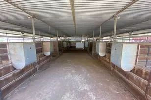 5021 Salmon Falls Rd, Pilot Hill, CA 95664 - Photo 55