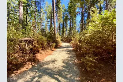 14915 Lolas Echo Road, Nevada City, CA 95959 - Photo 11