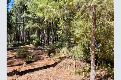 14915 Lolas Echo Road, Nevada City, CA 95959 - Photo 15