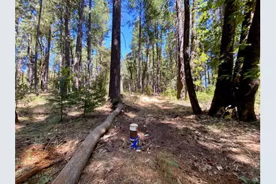 14915 Lolas Echo Road, Nevada City, CA 95959 - Photo 7