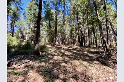 14915 Lolas Echo Road, Nevada City, CA 95959 - Photo 17