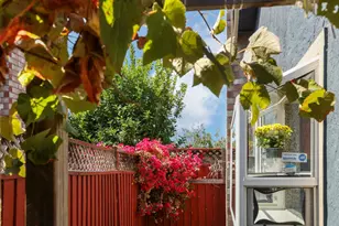 77 Barnes Ln, Fremont, CA 94536 - Photo 53