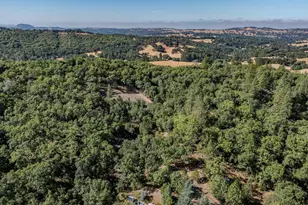 16300 Rossbridge Rd, Jackson, CA 95642 - Photo 35