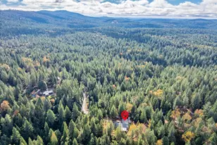 9201 Country Rd, Georgetown, CA 95634 - Photo 55