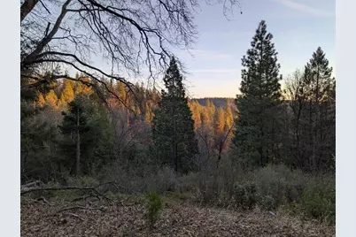 3000 Moody Ridge Road, Gold Run, CA 95717 - Photo 1