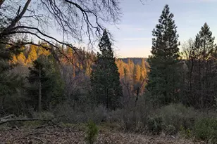 3000 Moody Rdg Rd, Gold Run, CA 95717 - Photo 1