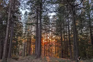 3000 Moody Rdg Rd, Gold Run, CA 95717 - Photo 1