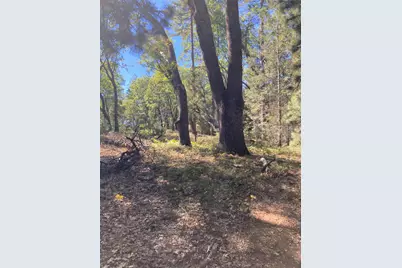 3000 Moody Ridge Road, Gold Run, CA 95717 - Photo 9